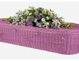 pink willow coffin